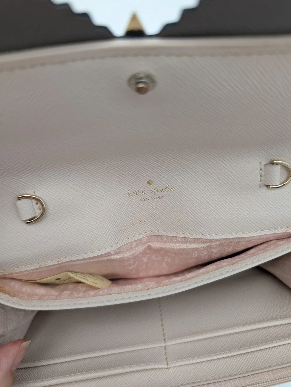 Kate Spade New York Blaze a Trail Milou Owl Wallet Clutch